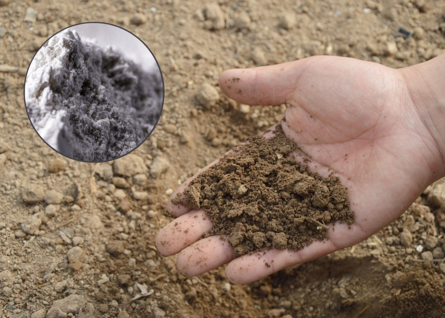 Mączka bazaltowa do odkwaszania gleby
