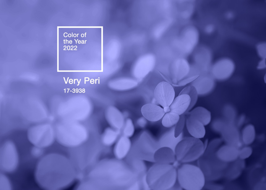 Ogród w kolorze Very Peri - fot. Alexa-photo - Depositphotos