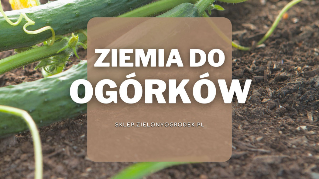 Ziemia do ogórków Jaką wybrać i gdzie kupić, Sklep ZielonyOgrodek pl