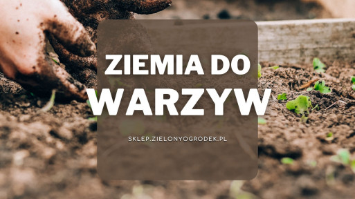 Ziemia do warzyw | Jaką wybrać i gdzie kupić?