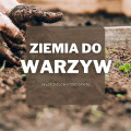 Ziemia do warzyw | Jaką wybrać i gdzie kupić?