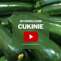 Cukinie z ogrodu | Wyhoduj sam! 