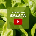 Sałata z ogrodu | Wyhoduj sam! 