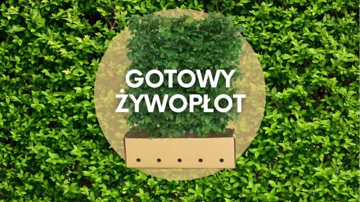 Gotowe żywopłoty modułowe | Efekt w 10 godzin!