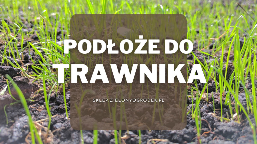 Podłoże do trawnika Jakie wybrać i gdzie kupić