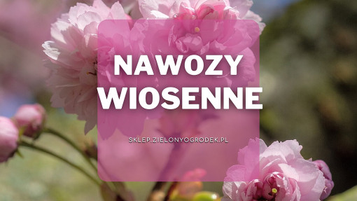 Nawozy wiosenne | Jakie wybrać i gdzie kupić?