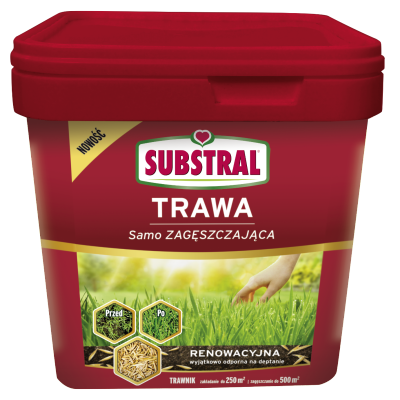 Trawa renowacyjna 5kg