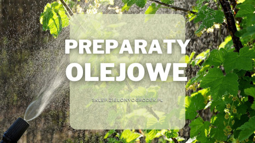 Środki olejowe | Jakie wybrać i gdzie kupić?