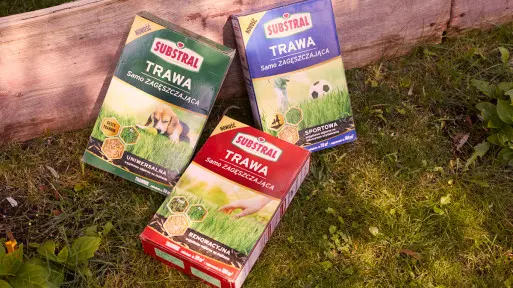 Oryginalna trawa samozagęszczająca – 10 powodów, dla których warto ją kupić!
