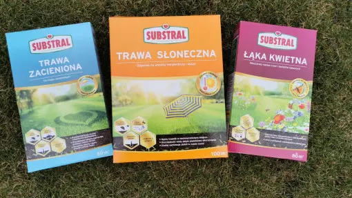 Nasiona traw otoczkowanych | Na trawniki do zadań specjalnych