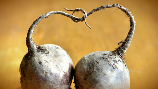 Burak – na co pomaga i dlaczego warto jeść? 