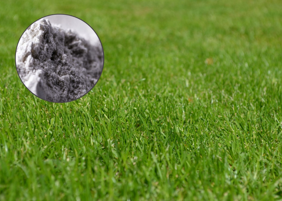 Mączka bazaltowa do nawożenia trawnika