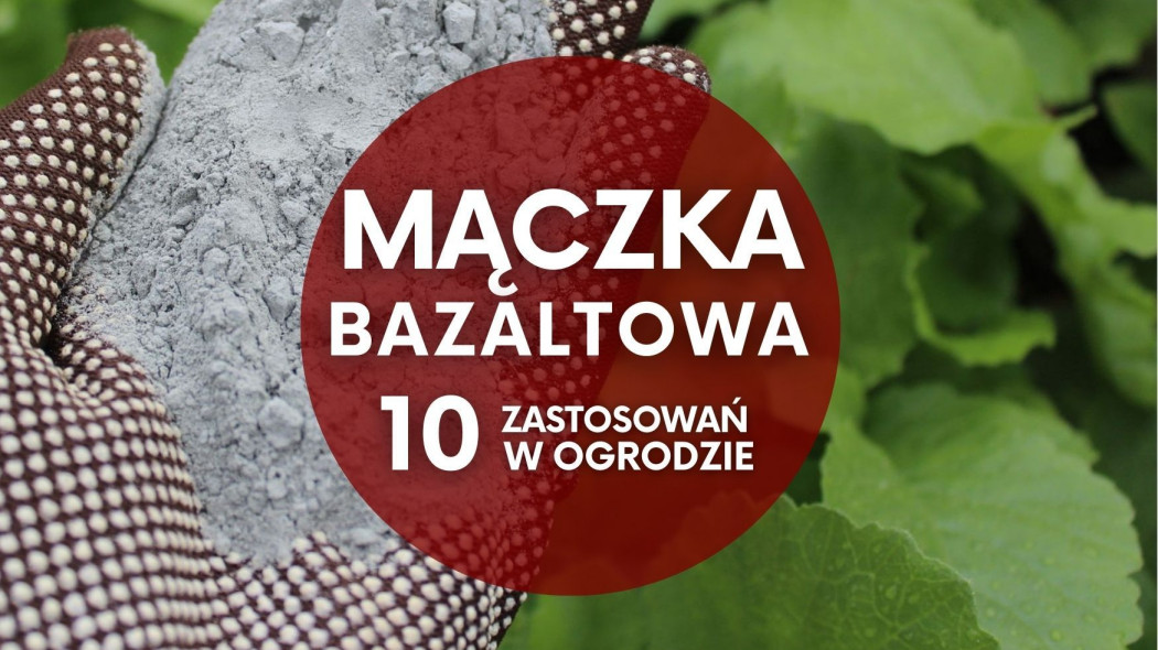 Mączka bazaltowa - 10 zastosowań w ogrodzie