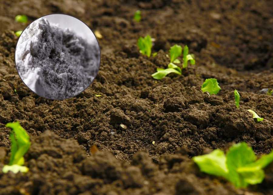 Mączka bazaltowa do poprawiania właściwości gleby