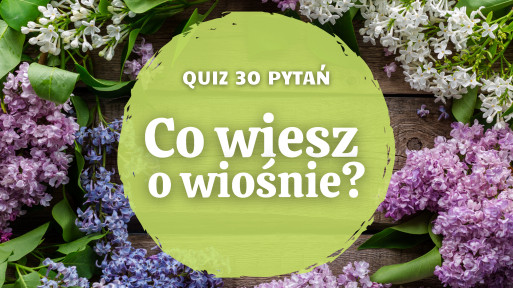 Quiz – wiosenny test wiedzy