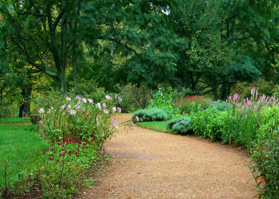 Co posadzić wzdłuż ścieżek ogrodowych - fot. JamesDeMers - Pixabay