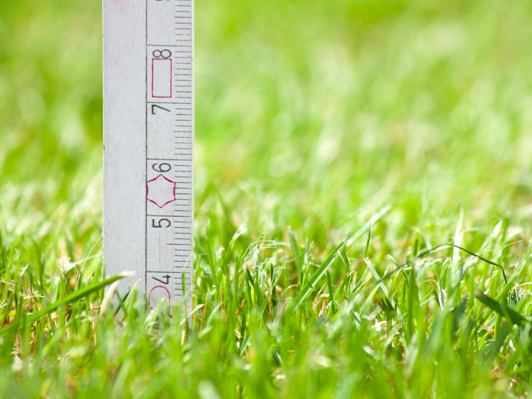 Correct height. Трава высота 2 метра для дома. Полосатая трава высота. Cut your grass by yourselves.