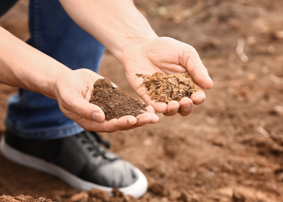 Jak szybko sprawdzić i poprawić właściwości gleby, fot. serezniy - Depositphotos