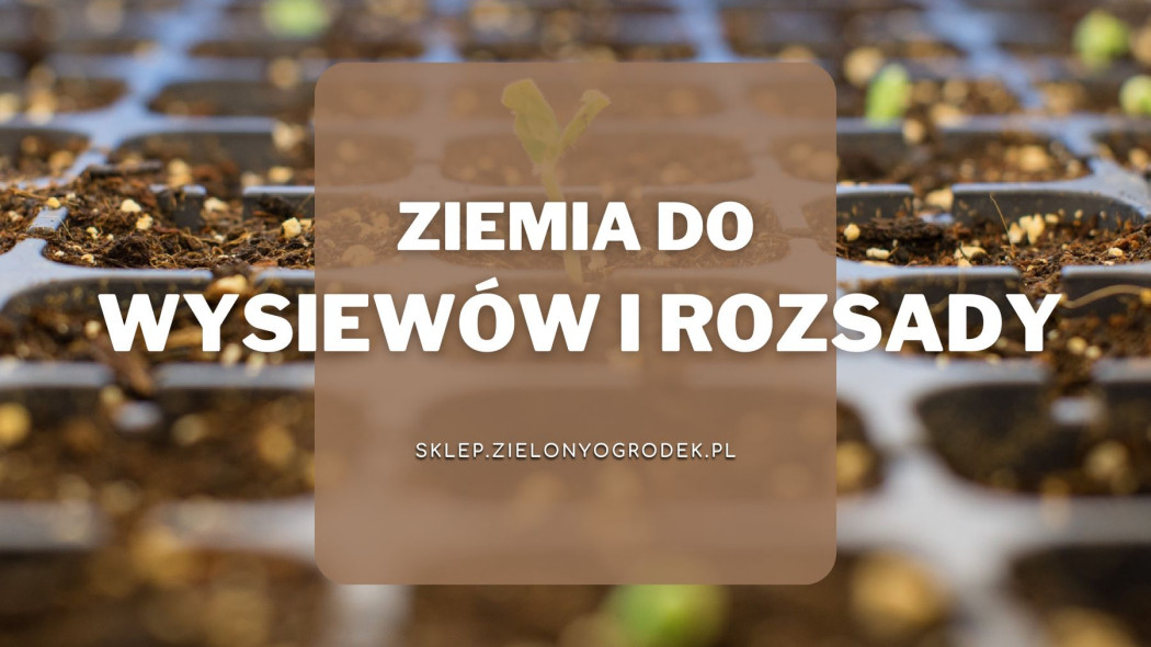 Ziemia do wysiewow i rozsady Lista zakupow