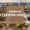 Co robić wiosną w ogrodzie? | Praktyczne porady i lista prac do zrobienia