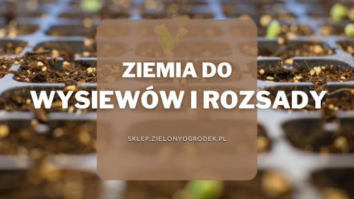 Ziemia do wysiewów i rozsady | Jaką wybrać i gdzie kupić?