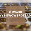 Ziemia do wysiewów i rozsady | Jaką wybrać i gdzie kupić?