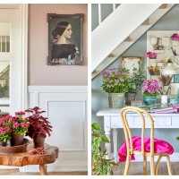 Pelargonie we wnętrzach | Inspirujące kompozycje