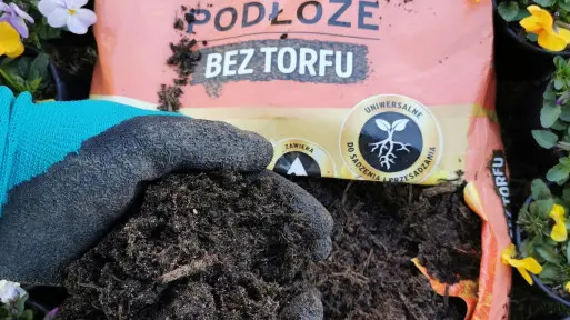 Podłoże bez torfu – najlepszy wybór dla Twoich roślin i środowiska!
