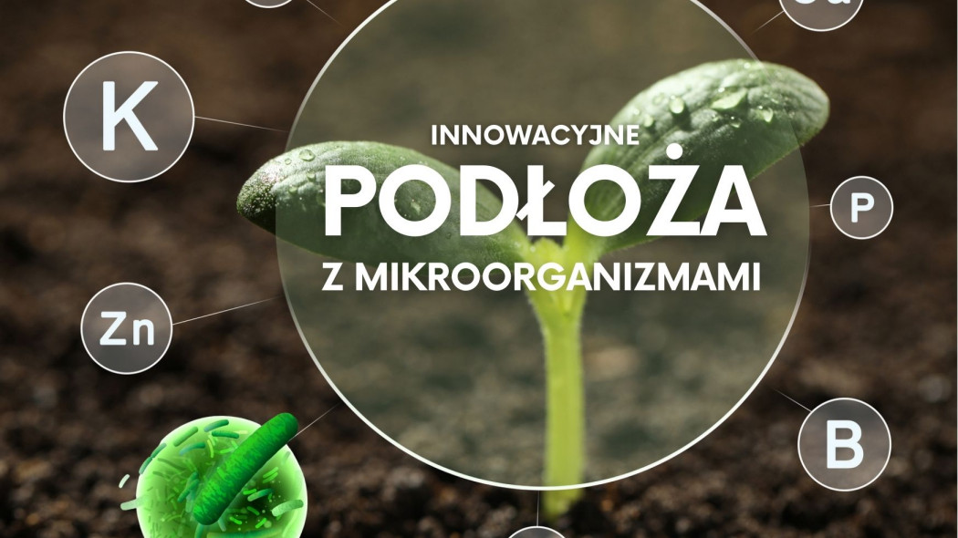 Innowacyjne podłoża zawierające pożyteczne mikroorganizmy glebowe