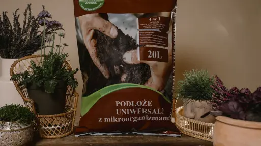 Mikroorganizmy w uprawie roślin | Innowacyjne podłoża ogrodnicze