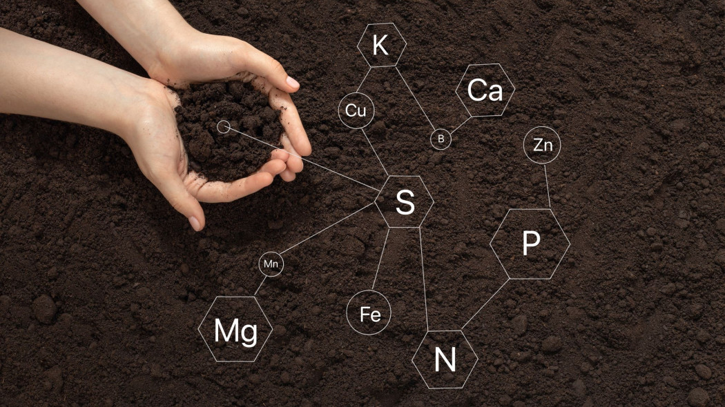niedobory pierwiastków dla roślin - brak makro i mikroelementów fot. Depositphotos