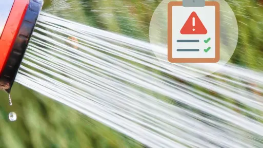 Błędy w podlewaniu roślin | Sprawdź, co robisz źle!