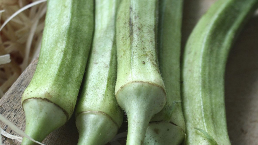 Okra warzywo lady finger, fot. Beth Chan - Pixabay