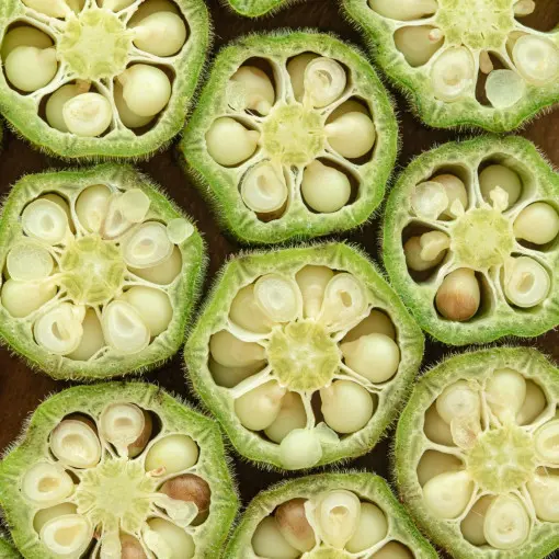 Piżmian jadalny / Okra