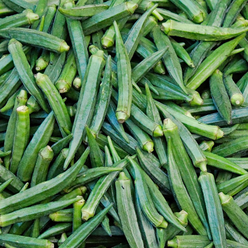 Piżmian jadalny / Okra