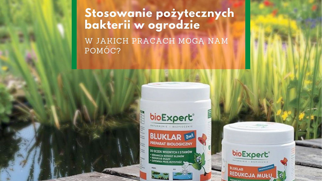 Stosowanie pozytecznych bakterii w ogrodzie w jakich pracach moga nam pomoc