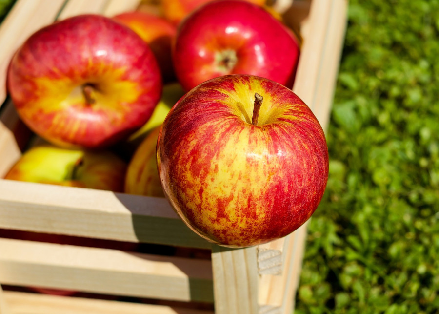 Jabłka - na co pomagają, dlaczego warto jeść fot. Couleur Pixabay