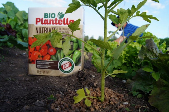 Nawóz organiczny Bio Plantella Nutrivit do pomidorów