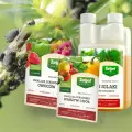 Emulpar – naturalny preparat do ochrony roślin przed szkodnikami