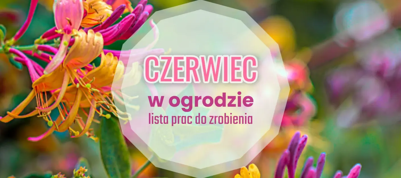 Lista spraw do zrobienia w czerwcu - kalendarz ogrodnika, fot. Zoksel Zok - Unsplash