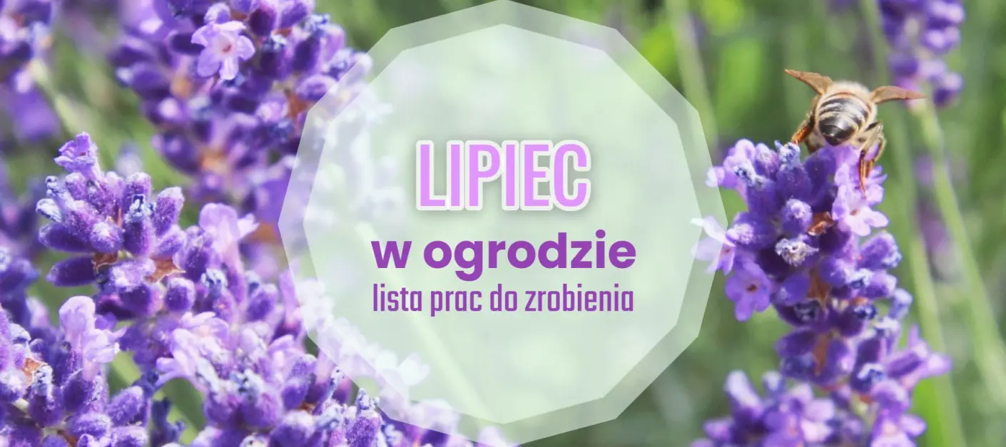 Lista spraw do zrobienia w lipcu - kalendarz ogrodnika, fot. pasja1000 - Pixabay