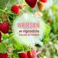 Wrzesień w ogrodzie – co robić? | Twoja lista 30+ niezbędnych zadań na ten miesiąc!