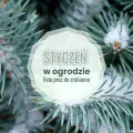 Styczeń w ogrodzie – co robić? | Lista prac do zrobienia