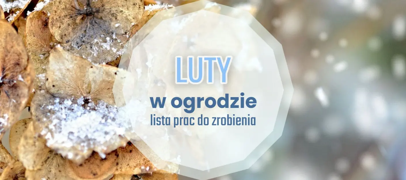 Lista spraw do zrobienia w lutym - kalendarz ogrodnika