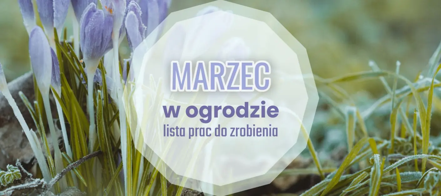 Lista spraw do zrobienia w marcu - kalendarz ogrodnika