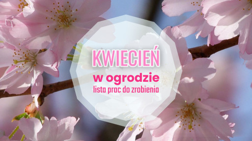 Kwiecień w ogrodzie – co robić? | Lista prac do zrobienia