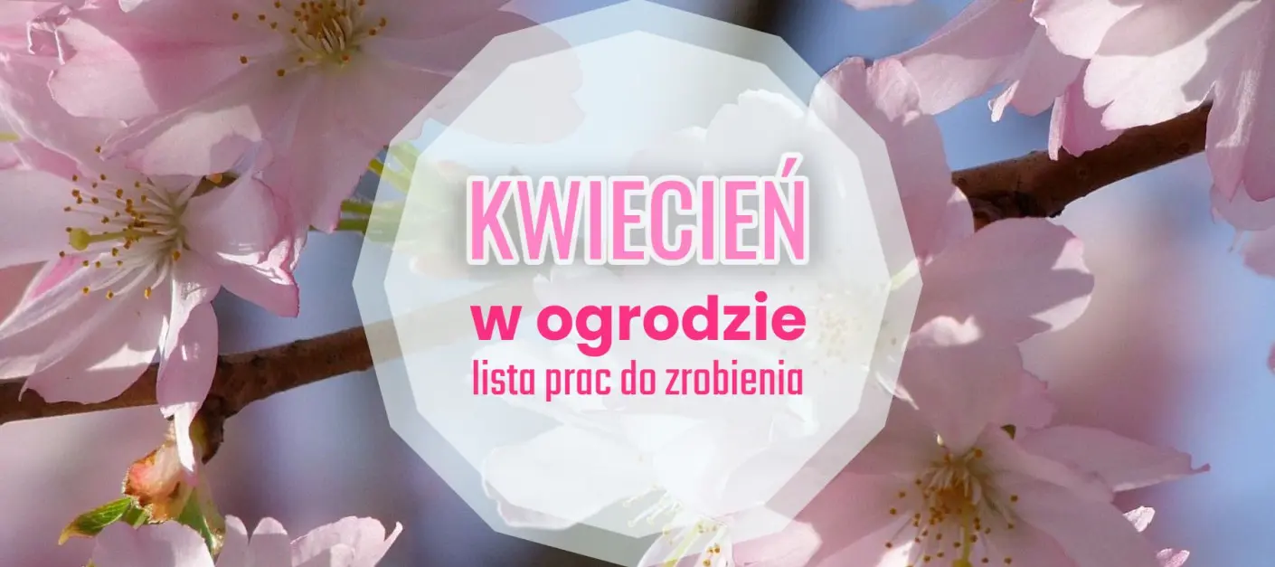 Lista spraw do zrobienia w kwietniu - kalendarz ogrodnika
