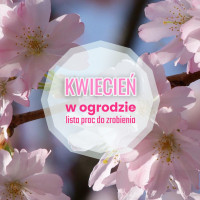 Kwiecień w ogrodzie – co robić? | Lista prac do zrobienia