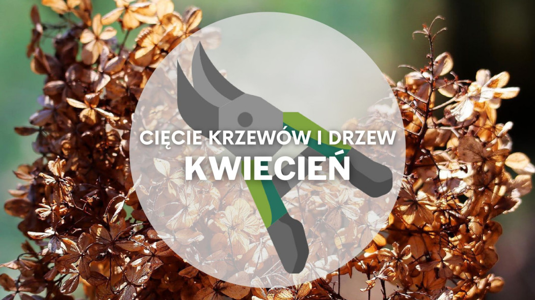 Co ciac w kwietniu Przycinanie drzew i krzewów, fot. Pixabay, Flaticon