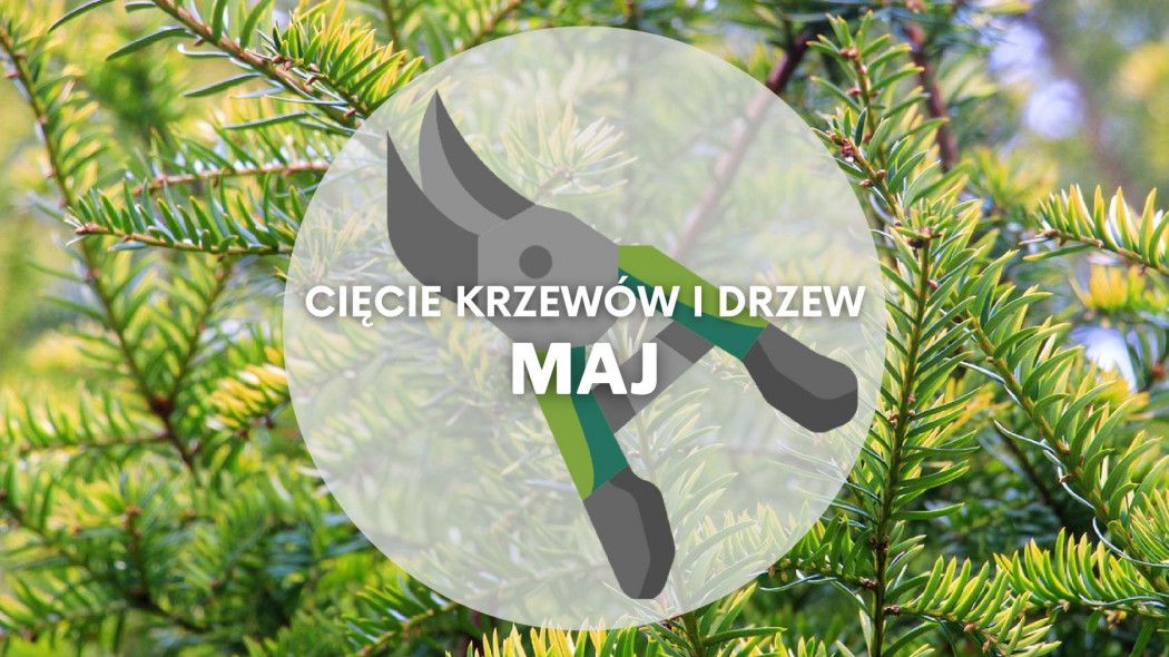 Co ciac w maju Przycinanie drzew i krzewów, fot. Pixabay, Flaticon